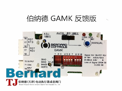 GAMK伯纳德执行器位置反馈板