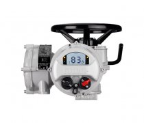 <b>罗托克电动执行器出现故障问题时仍然在运行</b>